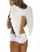 Крылья ангела (60х40см, бел)