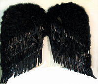 Королевские крылья перьевые (92 см, черн)