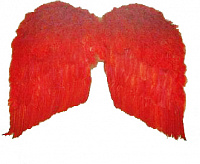 Крылья перьевые (60х50 см, кр)
