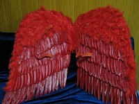 Королевские крылья перьевые красные 92 см